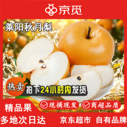 京觅 秋月梨 莱阳秋月梨 净重8.5斤  单果350g起 水果 源头直发