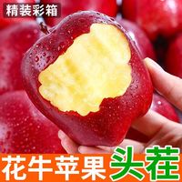 百亿补贴：御品一园 花牛苹果甘肃天水新鲜水果粉面刮泥黑苹果礼盒3/4.7/8.7斤