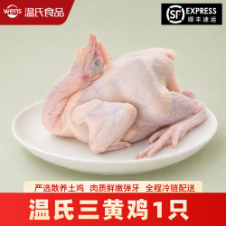温氏 散养三黄鸡800g-900g*1只  整鸡   谷饲喂养