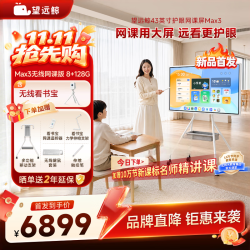 望远鲸 Max3 4K护眼屏 8GB 128GB 无线网课版 平板电脑