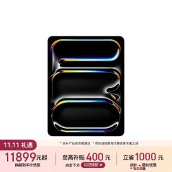 苹果 13 Pro M5芯片 iPad Pro平板电脑  WiFi版 银色 256GB 12GB M5