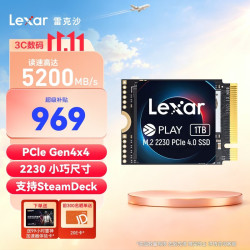 雷克沙 PLAY 2230 PCle4.0 SSD固态硬盘M.2 NVMe台式笔记本硬盘 1TB 电竞娱乐PCIe 4.0x4