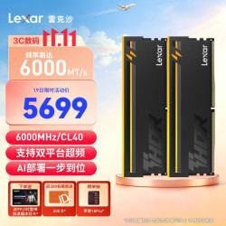 雷克沙 DDR5 6000 64GB(32GB×2)套条 电竞RGB灯条内存条 CL40