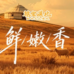 漠北羔羊小串