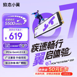 致态 长江存储 500GB SSD固态硬盘 致态小翼e7系列 (PCIe 4.0)