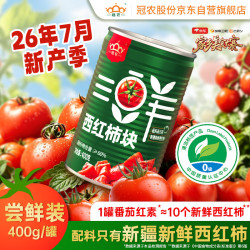 冠农股份 新疆西红柿块蕃茄番茄块罐头400g