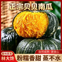 林大 馋山东正宗真贝贝南瓜 蒸不水板栗南瓜 粉糯老瓜 新鲜蔬菜 产地直发 净 4.5斤 精品果