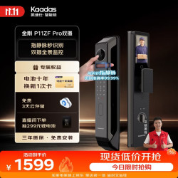 凯迪仕 P11ZF Pro 双摄版 智能电子锁 幻影黑