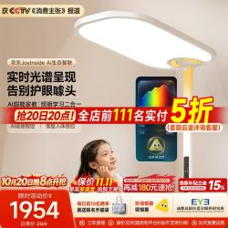 童视界 金黄光护眼 立式全光谱落地灯