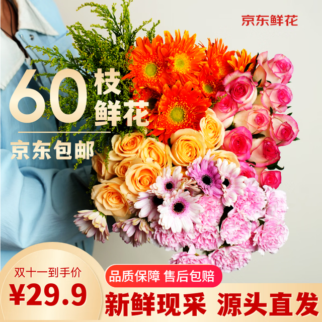 京东鲜花 玫瑰10枝+康乃馨10枝 色 花卉