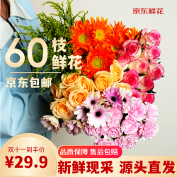 京东鲜花 玫瑰10枝+康乃馨10枝 色 花卉