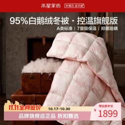 水星家纺 A类抑菌阻螨95%白鹅绒冬被芯防钻绒秋冬羽绒被子 95%白鹅绒冬被150cm×210cm