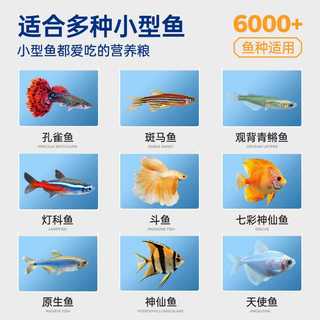 海洛伊 孔雀鱼饲料 小颗粒 10g 鱼粮
