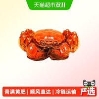 88VIP：【活蟹】阳澄格调 精品全母 3.8-4.2两 6只