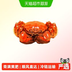 【活蟹】阳澄格调 精品全母 3.8-4.2两 6只