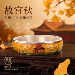 钻之银足银珐琅彩手镯拍平手镯 故宫秋