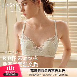 金三塔 26新款重磅真丝文胸20姆米高弹蕾丝无钢圈文胸收副乳防下垂胸罩 凝脂白-单文胸 M