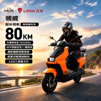 立马电动车 立马电动摩托车 6块22AH电池80KM长续航1000W