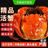 88VIP：仲秋 大闸蟹 母蟹2.8-3.1两8只