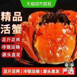 仲秋 大闸蟹 母蟹2.8-3.1两8只