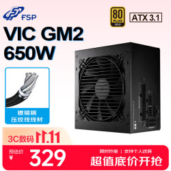 全汉 VIC GM2 650W金牌全模组电源（ATX3.1/日系电容/智能启停/全压纹线）