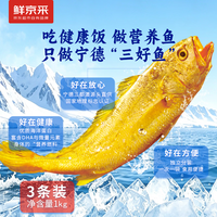 鲜京采 鲜冻宁德大黄鱼1kg/3条装（单条310-350g ）