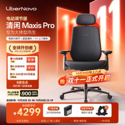 LiberNovo MAXIS Pro 人体工学椅 石墨灰