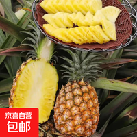 京喜加 海南金钻凤梨新鲜热带水果黄金菠萝手撕凤梨当季现摘新鲜发货 带箱4斤-净重3.6斤单果700g起