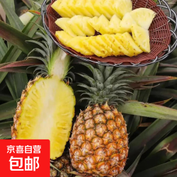 京喜加 海南金钻凤梨新鲜热带水果黄金菠萝手撕凤梨当季现摘新鲜发货 带箱4斤-净重3.6斤单果700g起