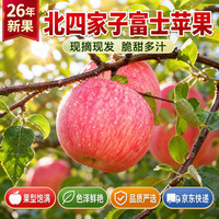 云禾青穗北四家子富士苹果2026年苹果应季生鲜水果 脆甜多汁 苹果 净4.5斤+｜80mm+