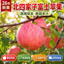 云禾青穗北四家子富士苹果2026年苹果应季生鲜水果 脆甜多汁 苹果 净4.5斤+｜80mm+