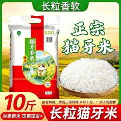粮心妹 猫牙长粒香米 晚稻新米 10斤