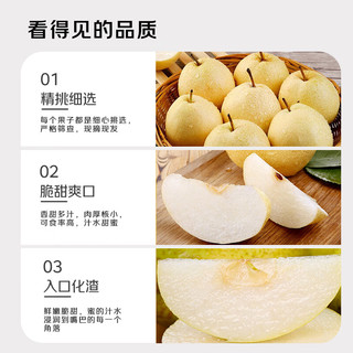 京觅 河北赵县雪花梨 单果280g+ 8斤