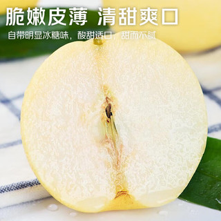 京觅 河北赵县雪花梨 单果280g+ 8斤