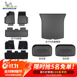 米其林 TPE脚垫【10月20日晚8点抢5名免单+100名半价】适用 ModelY焕新版脚垫套装