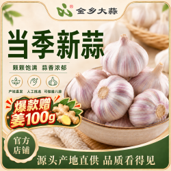 金乡大蒜 山东金乡大蒜干蒜新鲜紫皮蒜头颗粒饱满产地直发包邮 15头干蒜