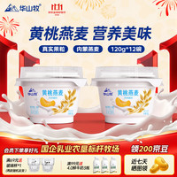 华山牧 黄桃燕麦风味酸奶营养酸奶 120gx12碗