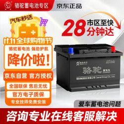 骆驼 汽车电瓶蓄电池官方55519嘉年华翼搏老款福克斯京东自营