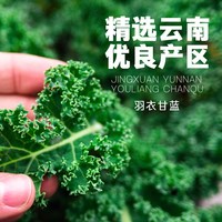 自然道 纯羽衣甘蓝粉青汁即食冲饮果蔬粉膳食纤维代餐