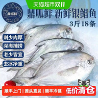 88VIP：鼎呱鲜 鲜活银鲳鱼 舟山深海鲜冻款 500g*3袋