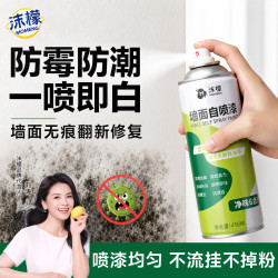 沫檬 墙面修复自喷漆450ml