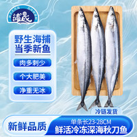 浦晟秋刀鱼净重2斤野生海捕高蛋白冷冻生鲜烧烤食材深海鱼类纯鱼肉