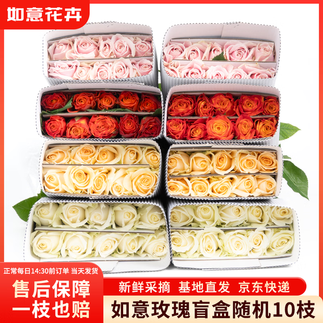 如意 随机玫瑰10枝40cm起鲜切花礼品如意新鲜现采山东基地送礼源头直发