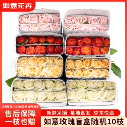 如意 随机玫瑰10枝40cm起鲜切花礼品如意新鲜现采山东基地送礼源头直发