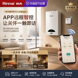 林内 燃气壁挂炉天然气C30家用地暖采暖热水两用壁挂炉锅炉地暖152