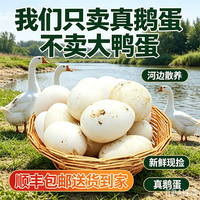 保卫蛋蛋 农家新鲜土鹅蛋 6枚120g-140g