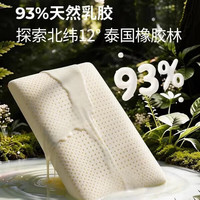 金橡树 特拉雷Talalay乳胶护颈枕头泰国进口93%天然乳胶 单只 特拉雷面包枕60*40*13cm