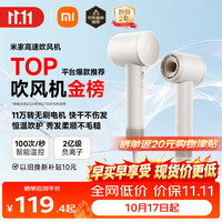 米家 GSHF04LF 电吹风 奶白色