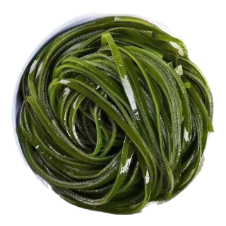 京喜加 盐渍海带丝 大连长厚丝 250g*1包