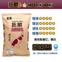 神阳 巨鳞锦鲤鱼饲料红白增色增体鱼食骨霸赛级鱼粮颗粒大包装20斤